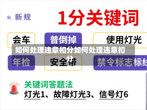 如何处理违章扣分如何处理违章扣分-第2张图片