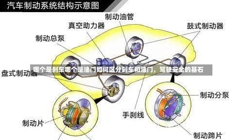 哪个是刹车哪个是油门如何区分刹车和油门，驾驶安全的基石