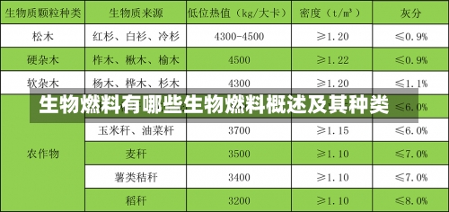 生物燃料有哪些生物燃料概述及其种类-第2张图片