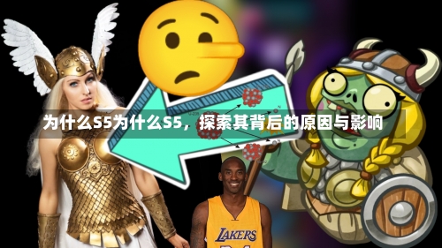 为什么S5为什么S5，探索其背后的原因与影响-第2张图片