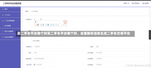 买二手车平台哪个好买二手车平台哪个好，全面解析当前主流二手车交易平台