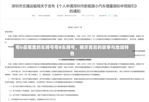 粤b是哪里的车牌号粤B车牌号，揭示背后的故事与地域特色-第3张图片