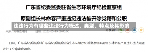 违法行为有哪些违法行为概述，类型、特点及其影响-第2张图片