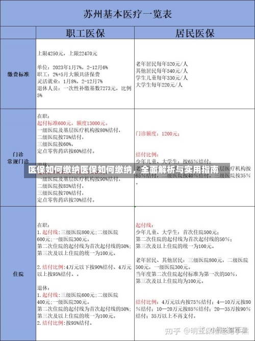 医保如何缴纳医保如何缴纳，全面解析与实用指南-第3张图片