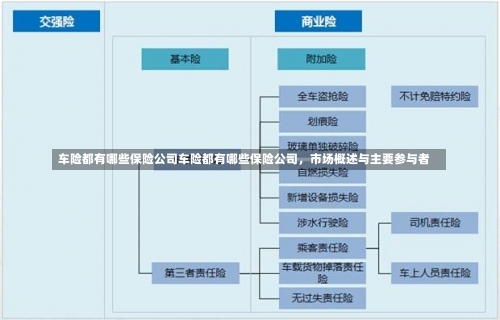 车险都有哪些保险公司车险都有哪些保险公司，市场概述与主要参与者