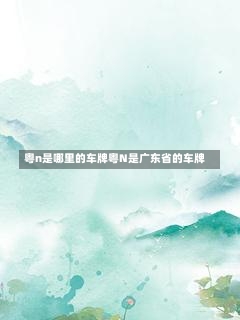 粤n是哪里的车牌粤N是广东省的车牌-第2张图片