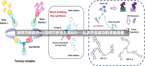 如何巧妙的开rio如何巧妙地开启RIO——探索开启成功的关键策略-第2张图片