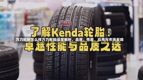 万力轮胎怎么样万力轮胎深度解析，品质、性能、应用与市场反响-第3张图片